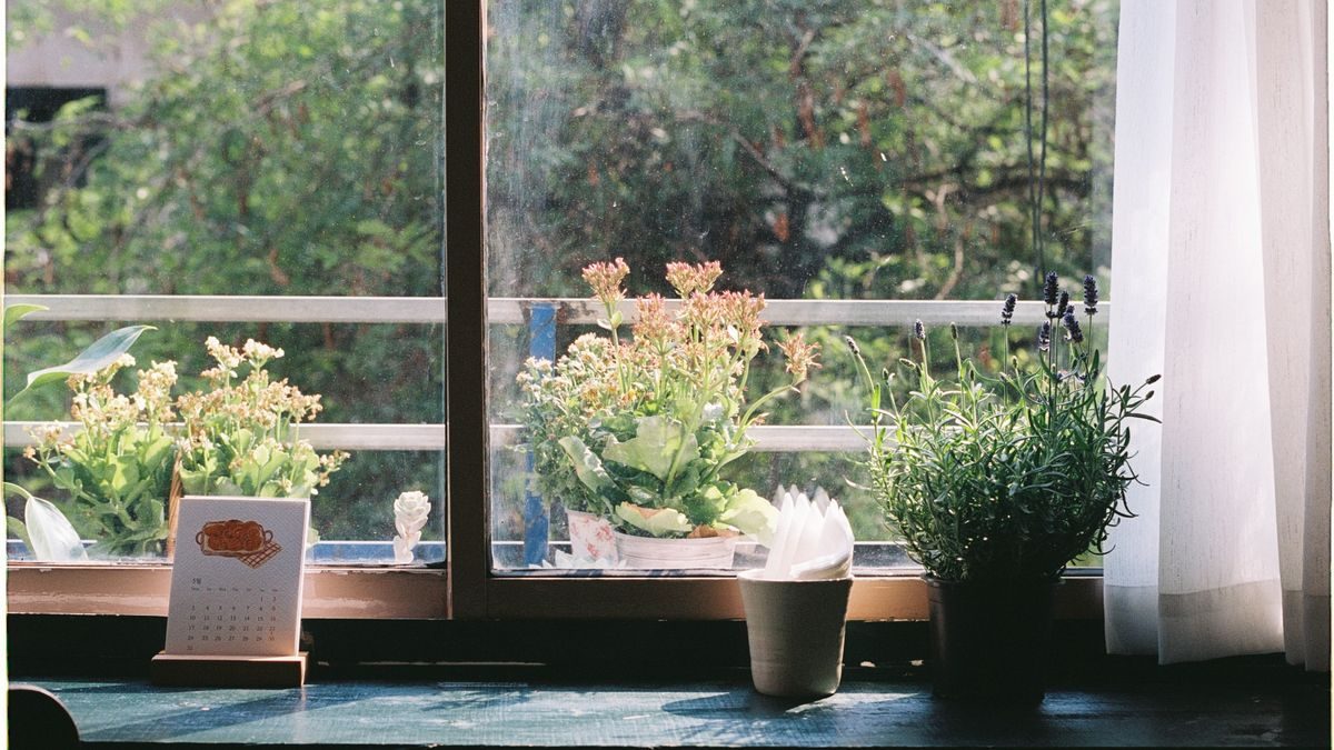 住まいの窓辺に鉢植えが並び、外の緑が見えている室内の写真