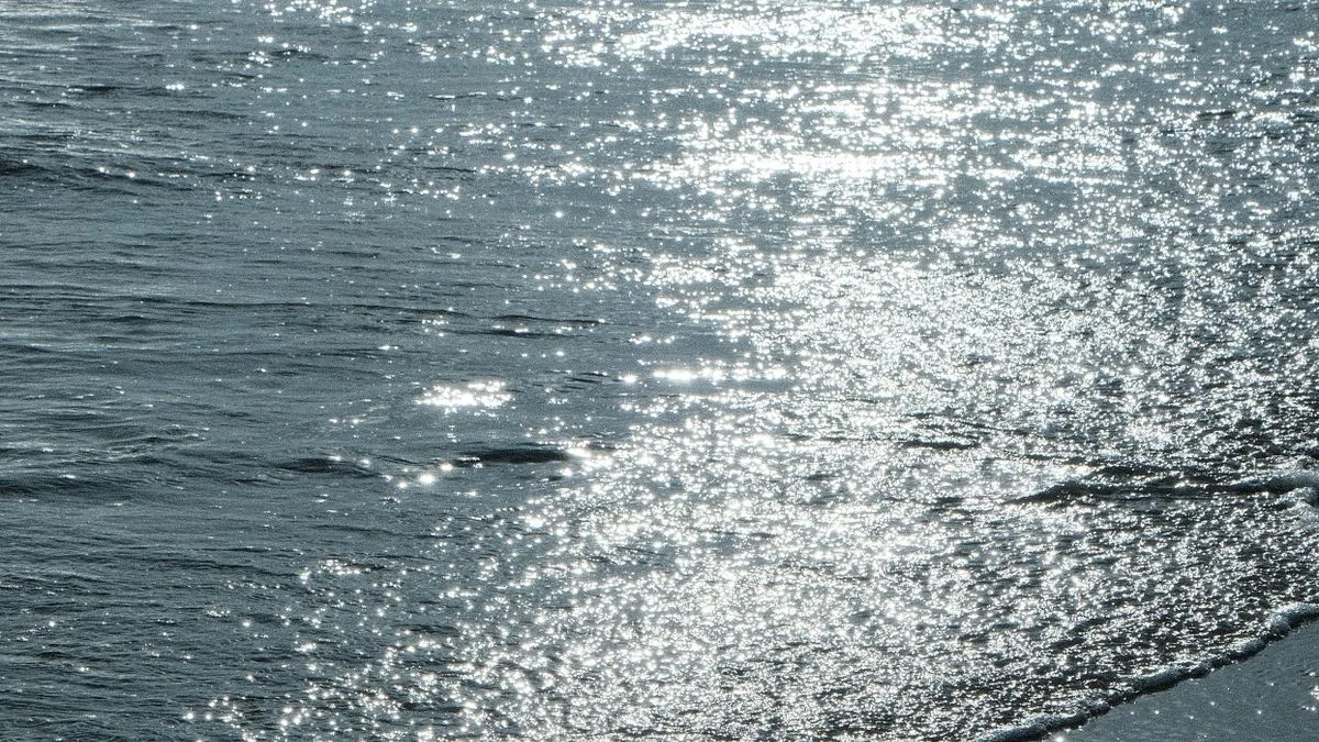 日差しを受けて細かく光る海面
