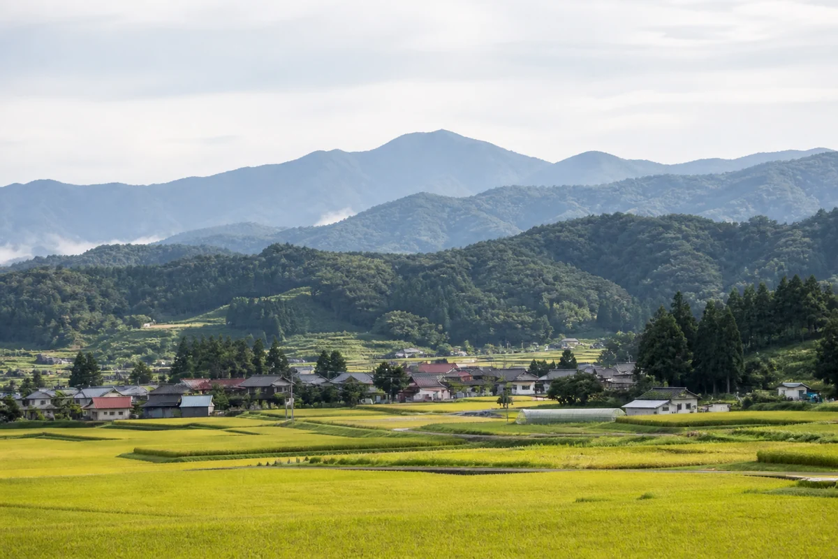 東海林姓の分布資料に登場する山形の最上・村山地方を思わせる田園風景
