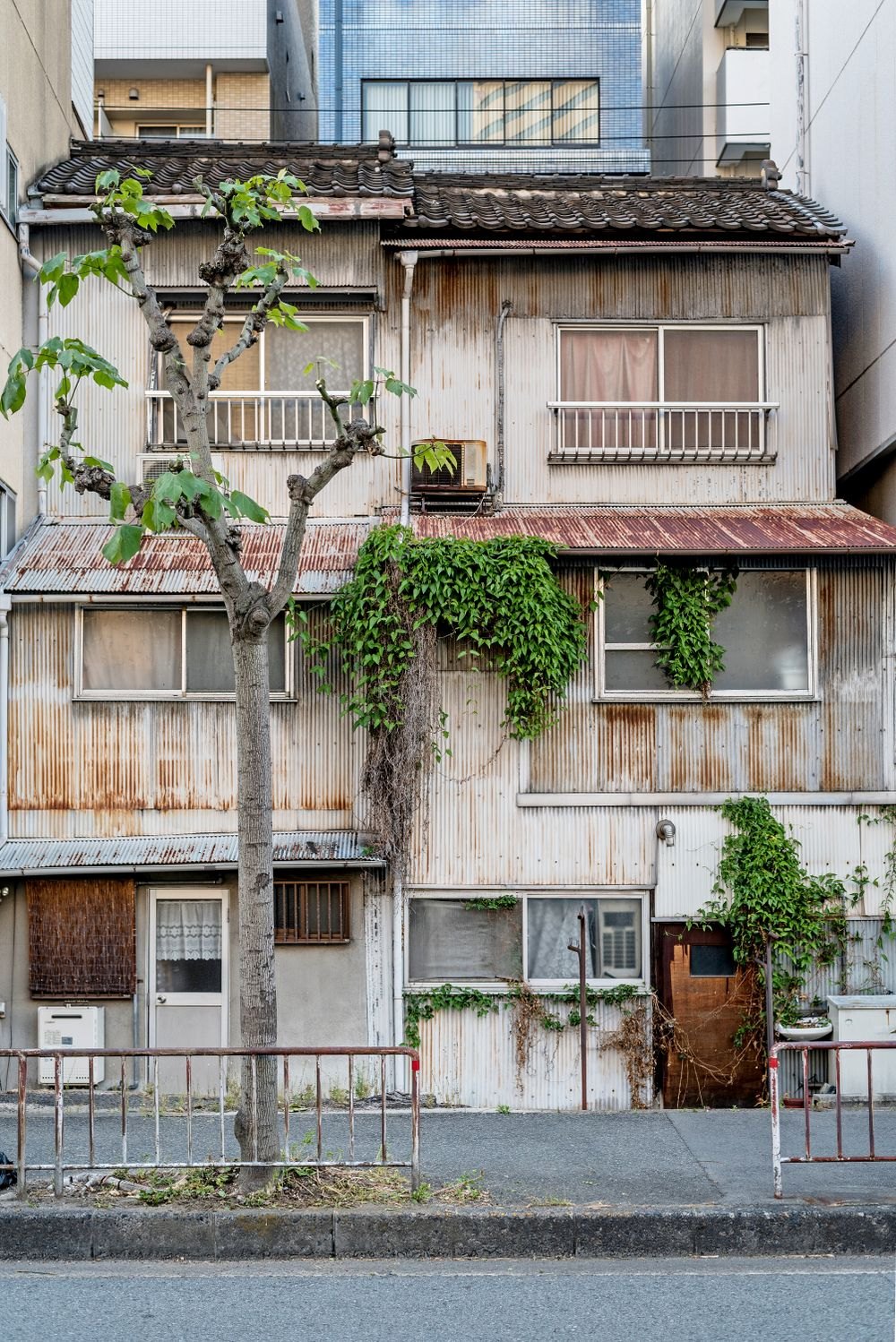 外壁が傷み、つたが伸びた古い建物