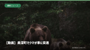 ヒグマの親子のイメージ写真。北海道美深町でクマが車に突進したニュースのアイキャッチ
