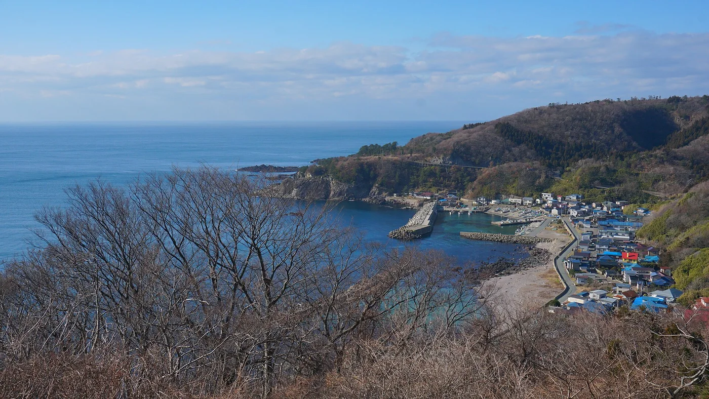 高台から見下ろした加茂青砂の集落。入り江に漁港があり、海ぞいの斜面に家が並ぶ