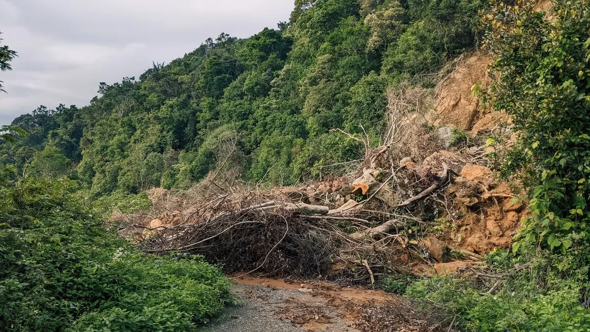 斜面が崩れ、土砂と倒れた木が山あいの道路をふさいでいる