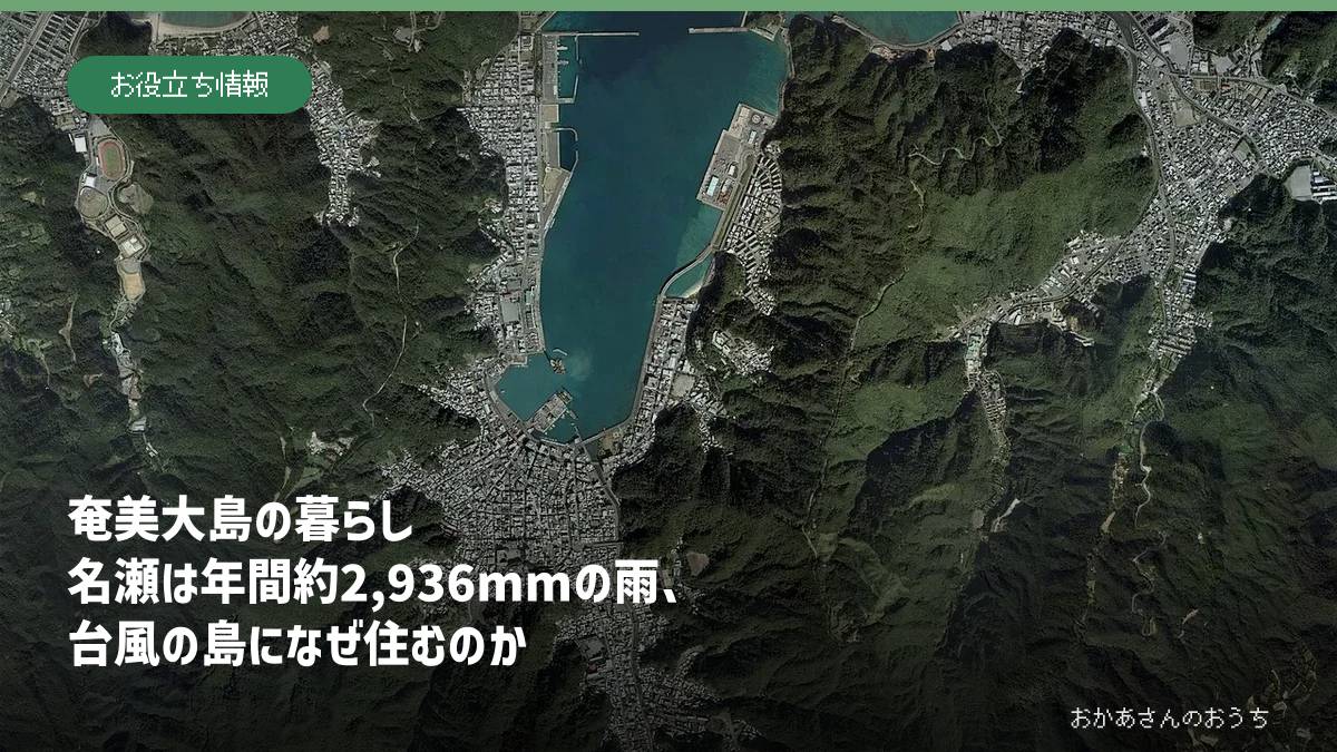 奄美大島の暮らしと名瀬の雨、台風・豪雨災害を表したアイキャッチ