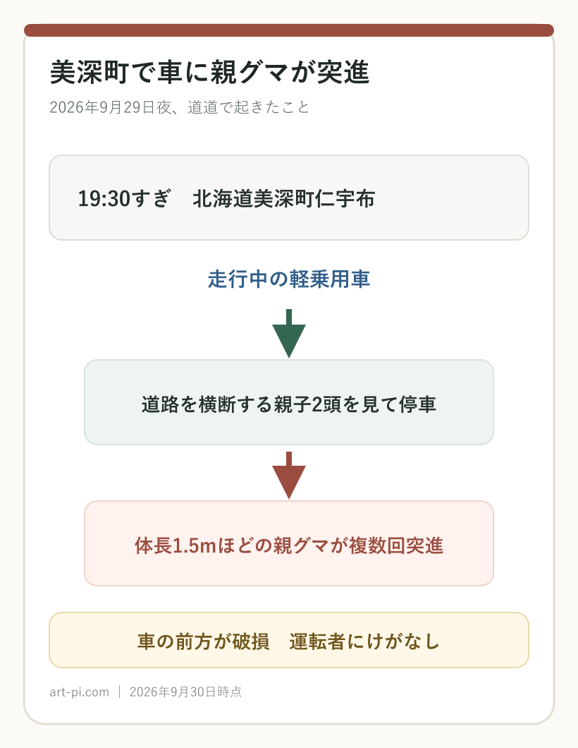北海道美深町仁宇布で軽乗用車が親子グマを見て停車し、体長約1.5メートルの親グマが複数回突進して車の前方が破損した経過図