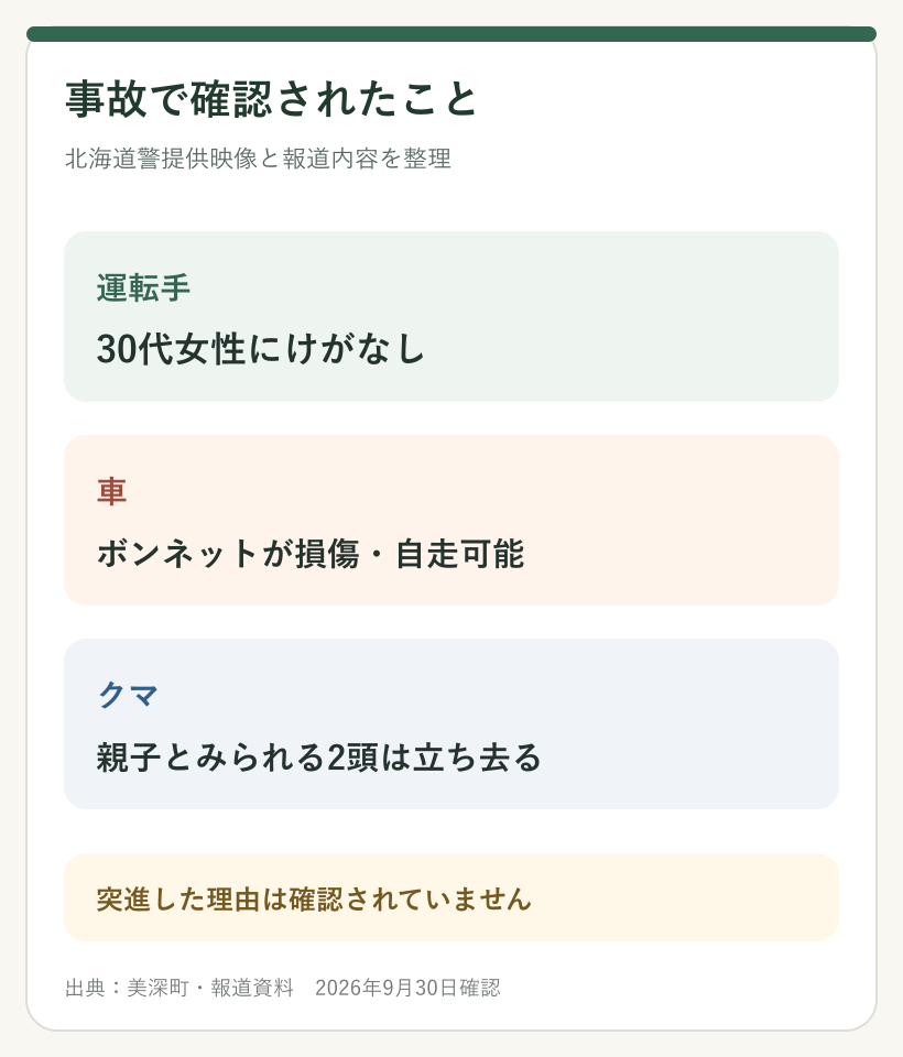 美深町のヒグマ車突進で運転手にけがはなく、ボンネットが損傷し、クマ2頭が立ち去ったことを示す図