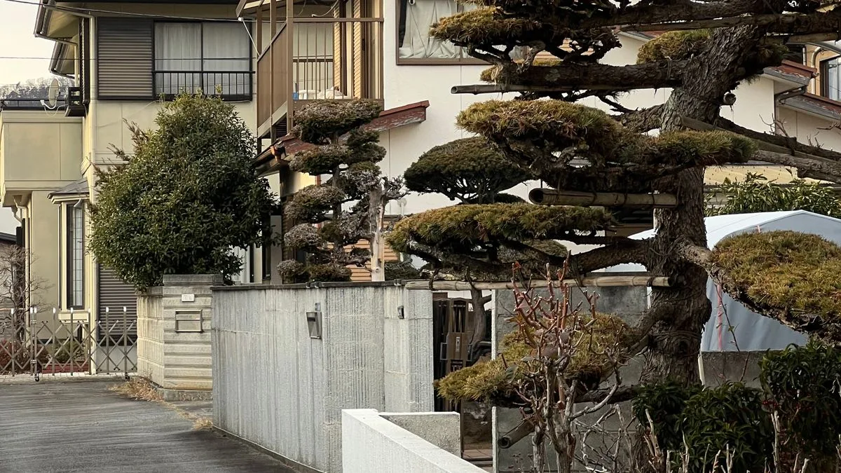 塀と庭木に囲まれた、築年数のたった日本の戸建て