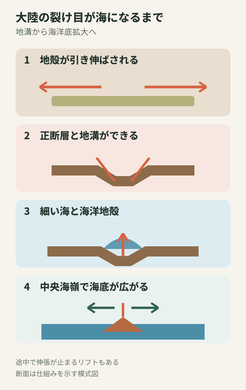 大陸地殻の伸張から地溝、若い海、海洋底拡大へ進む四段階