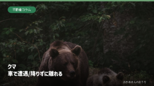 森にいる親子のヒグマを背景に、車で遭遇したら降りずに離れると示した記事の見出し画像