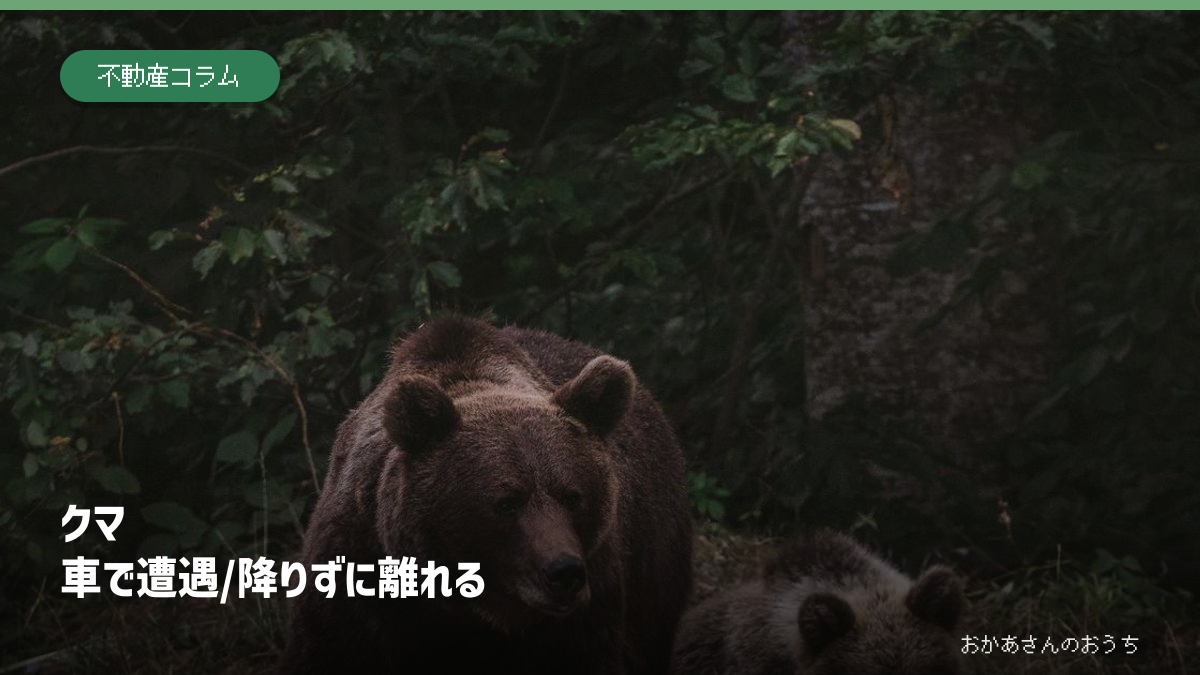 森にいる親子のヒグマを背景に、車で遭遇したら降りずに離れると示した記事の見出し画像
