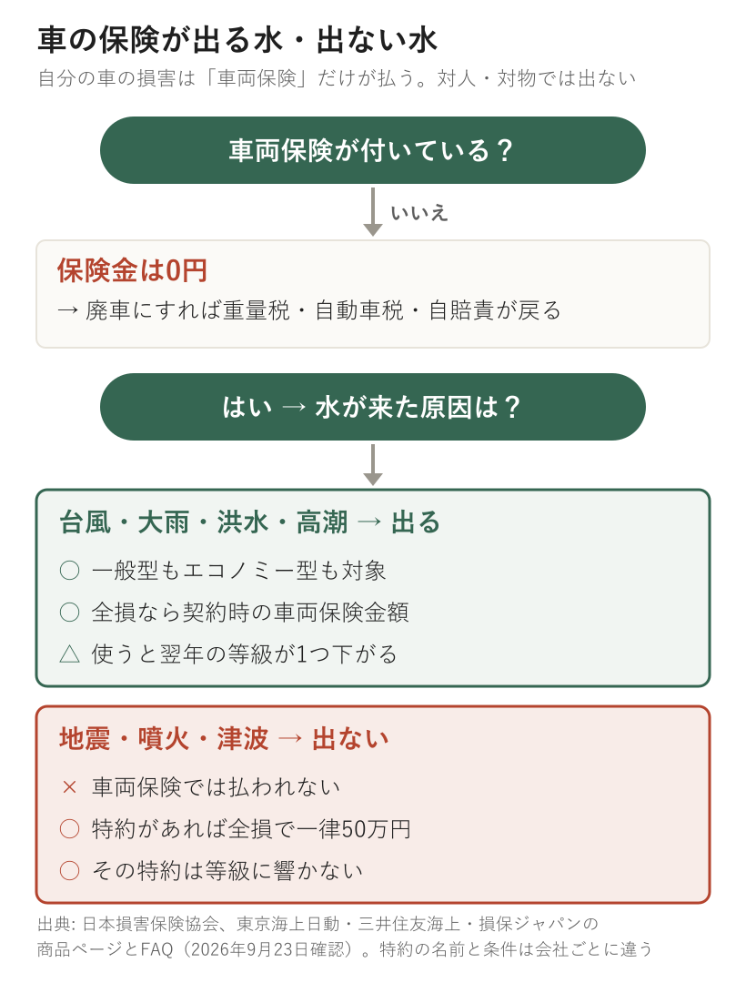 車の保険が出る水・出ない水の判定図。車両保険が付いていなければ保険金は0円で、戻るのは重量税・自動車税・自賠責の3つ。付いていて原因が台風・大雨・洪水・高潮なら一般型もエコノミー型も対象で、全損なら契約時の車両保険金額、使うと等級が1つ下がる。地震・噴火・津波なら車両保険では出ず、特約があれば全損で一律50万円、その特約は等級に響かない