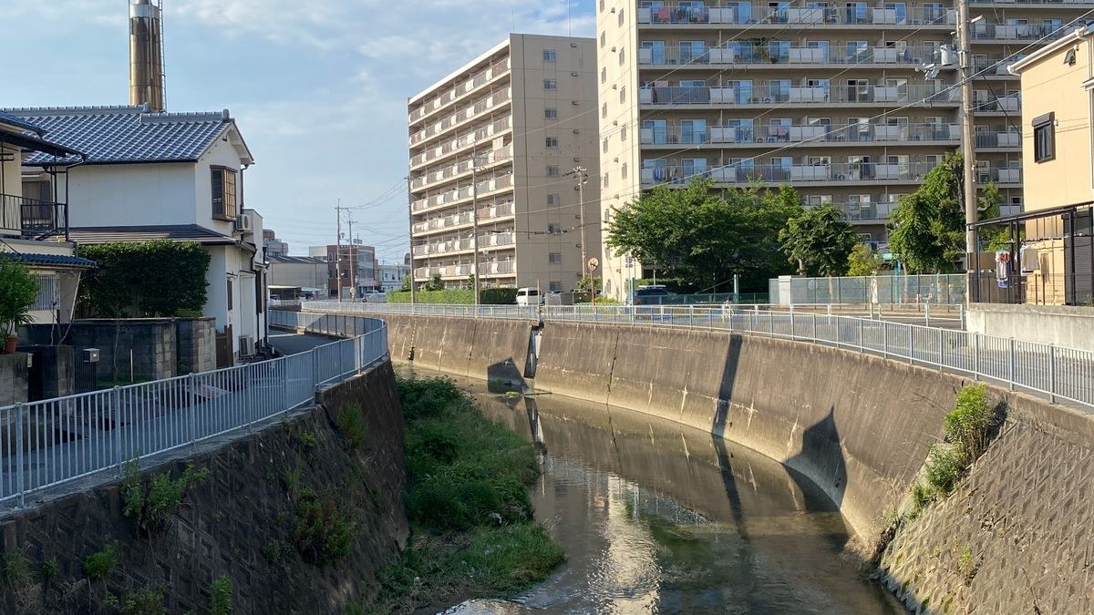 護岸された川のすぐ内側に建つ住宅とマンション