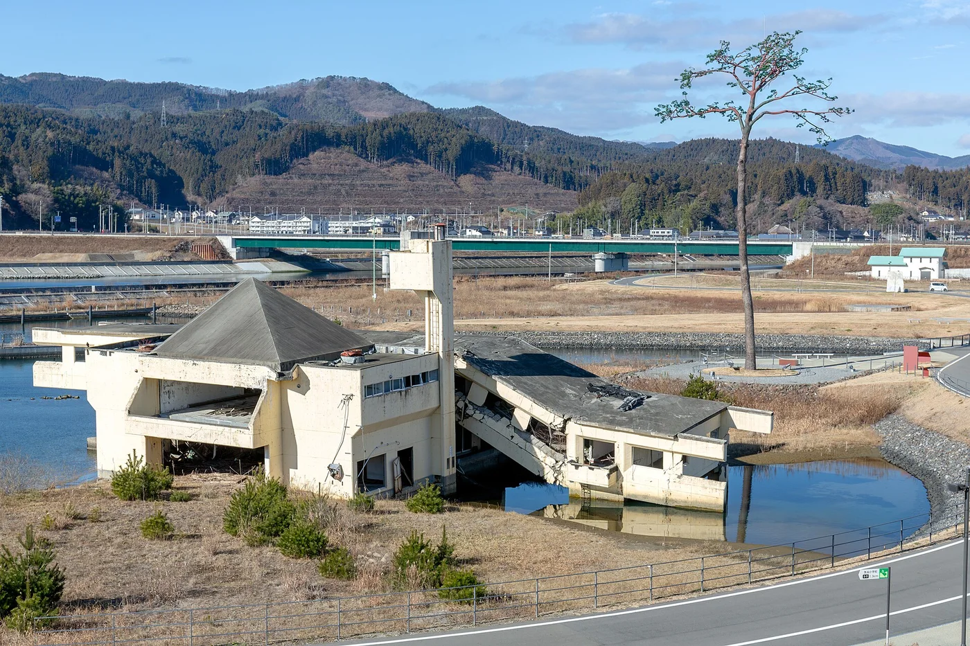 陸前高田ユースホステルの震災遺構。屋根が折れた鉄筋コンクリートの建物が水辺に残り、その奥に一本だけ立つ松の木が見える