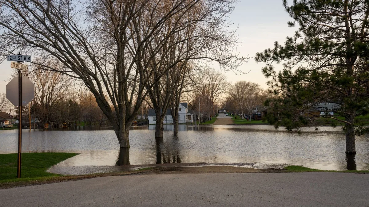 住宅地の道路が水に浸かって水面に木が映っている様子