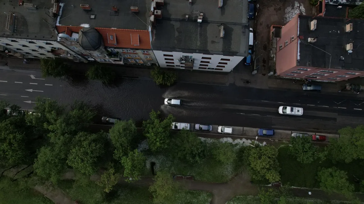街なかの幹線道路を真上から見たところ。並木のあいだを車が走っている