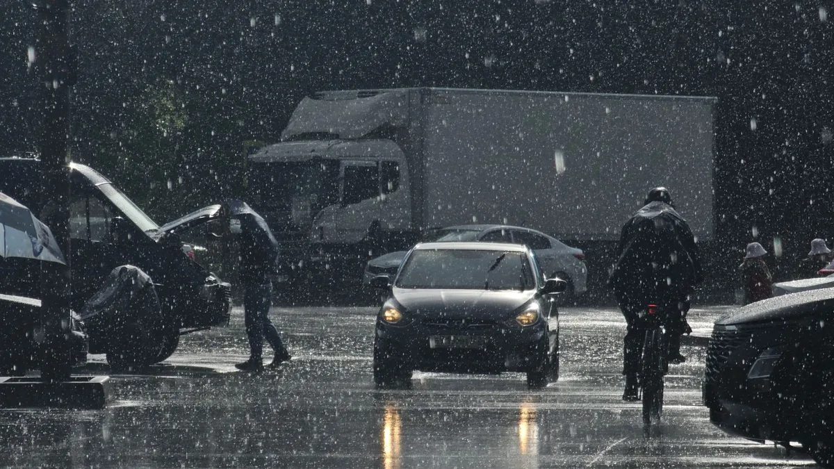 雨の降る街路。路面に街灯と車のライトが映り込んでいる