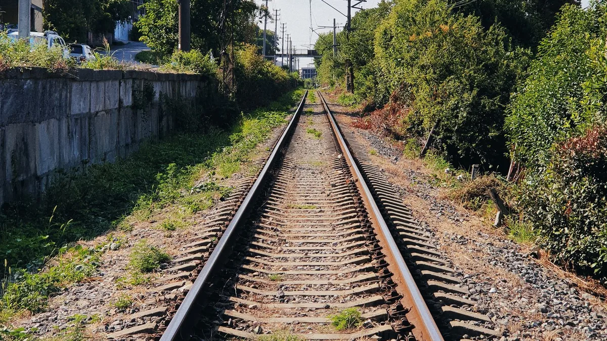 草むらの中を通る単線の線路