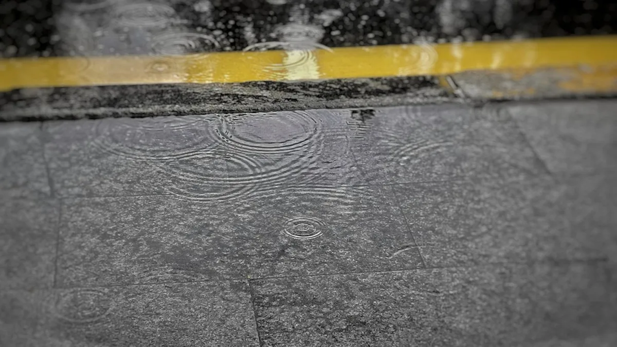 雨粒が路面に落ちて波紋をつくっている