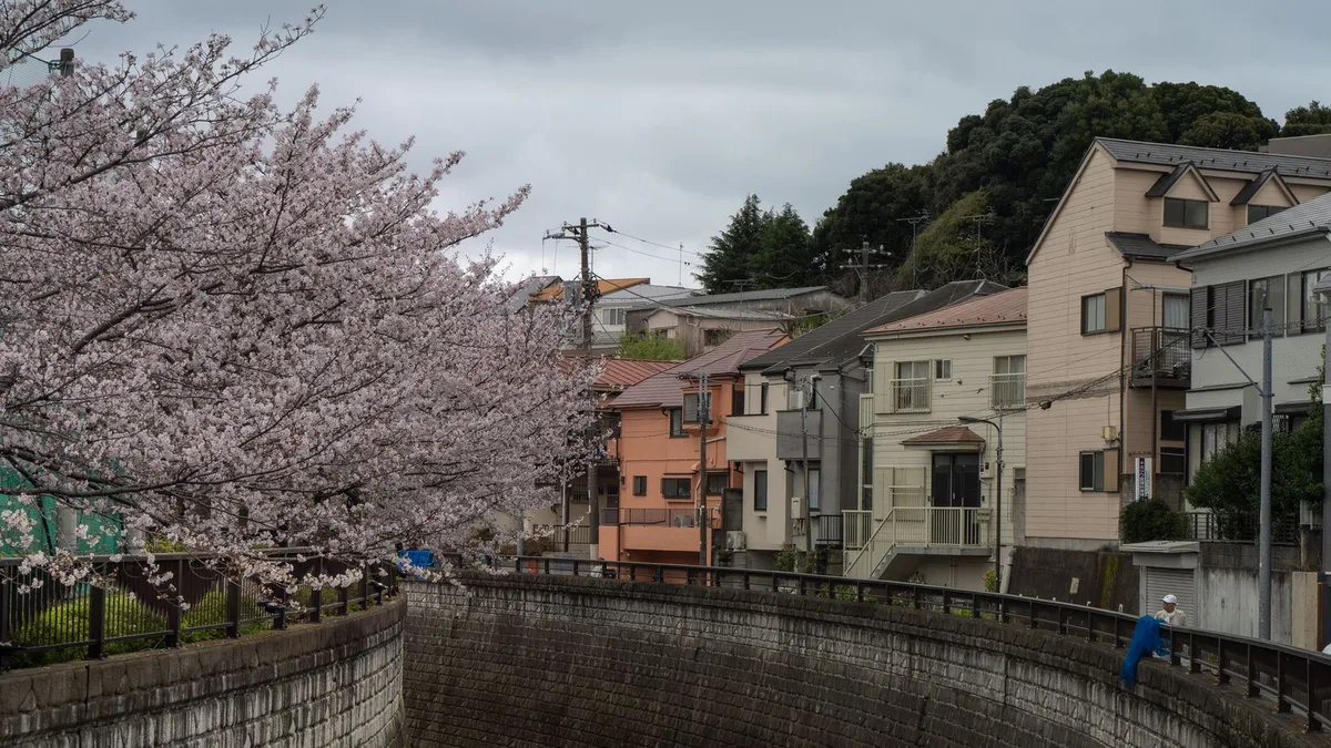 崖の下を流れる川と、その上に並んで建つ住宅