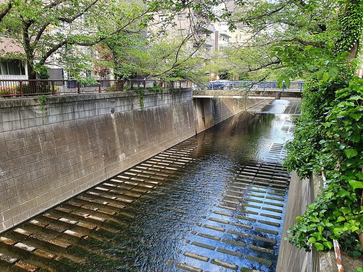 中目黒の目黒川（2022年4月）