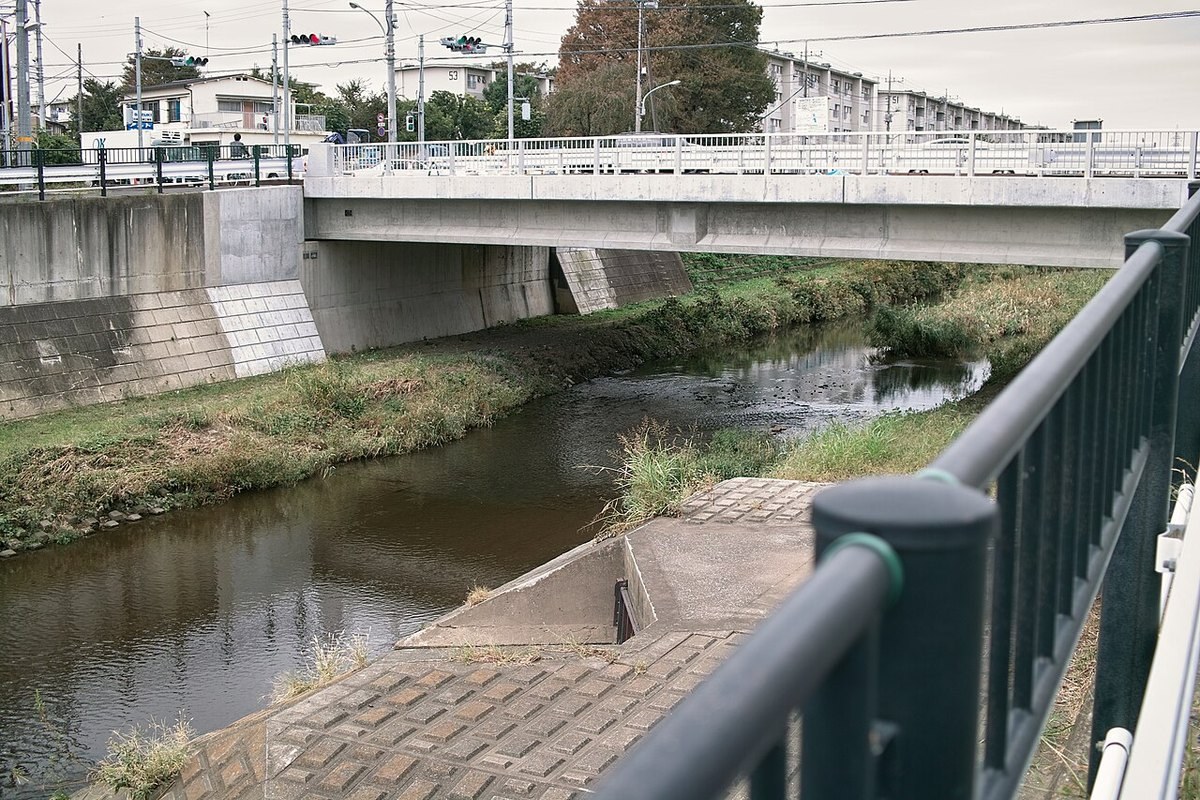 調布市入間町の野川（2011年10月）