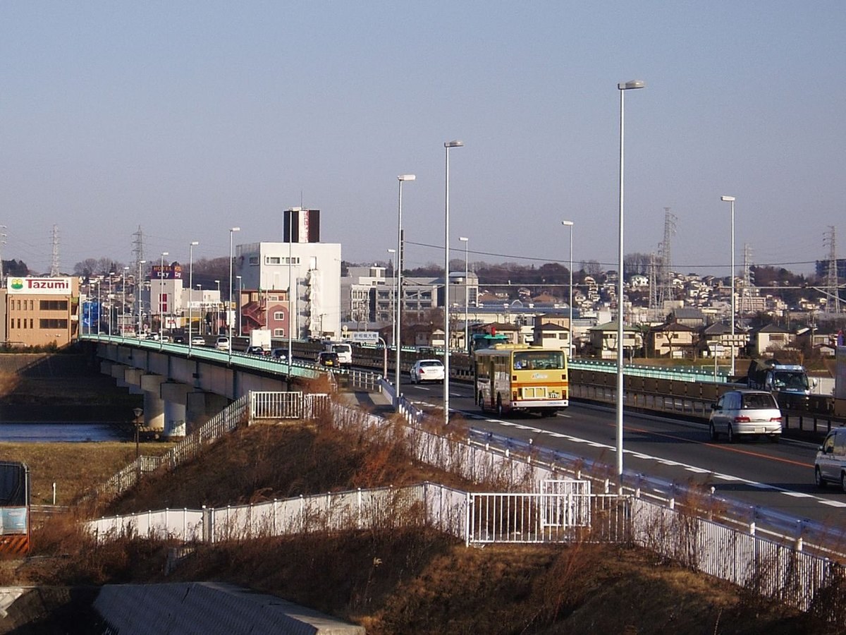 厚木市側から見た新相模大橋と相模川（2009年2月）