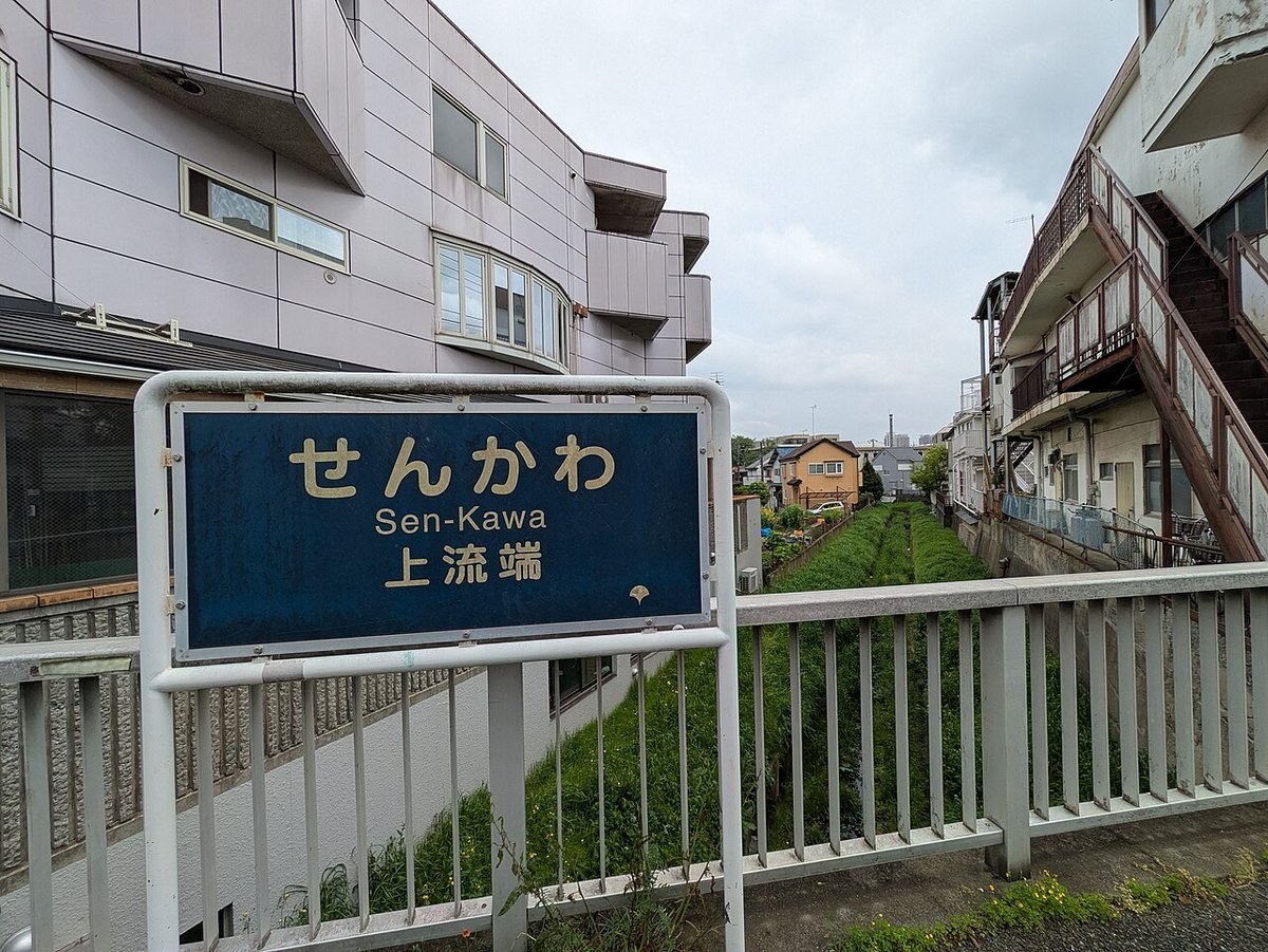 仙川の上流端・小金井市貫井北町（2025年4月）