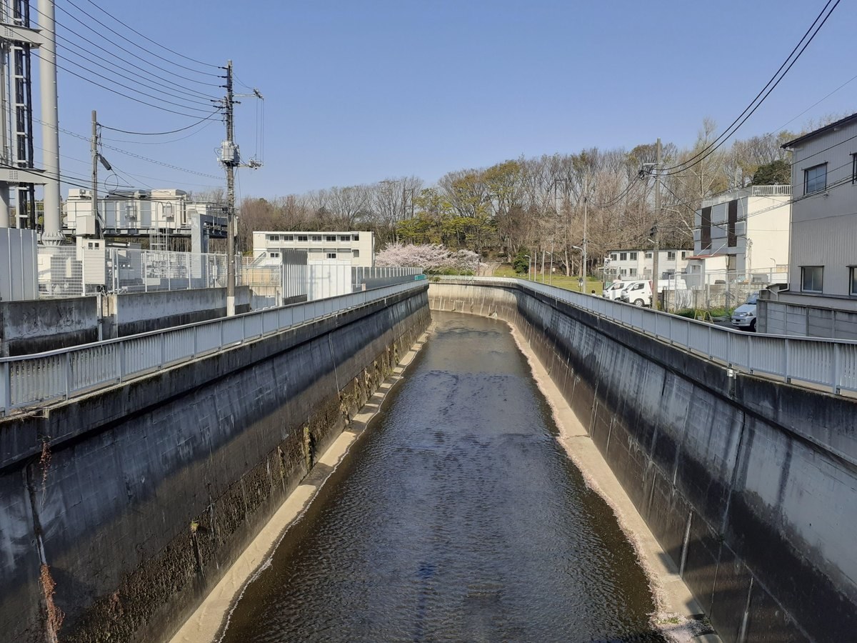 城北中央公園のくりはら橋から見た石神井川・板橋区（2020年4月）