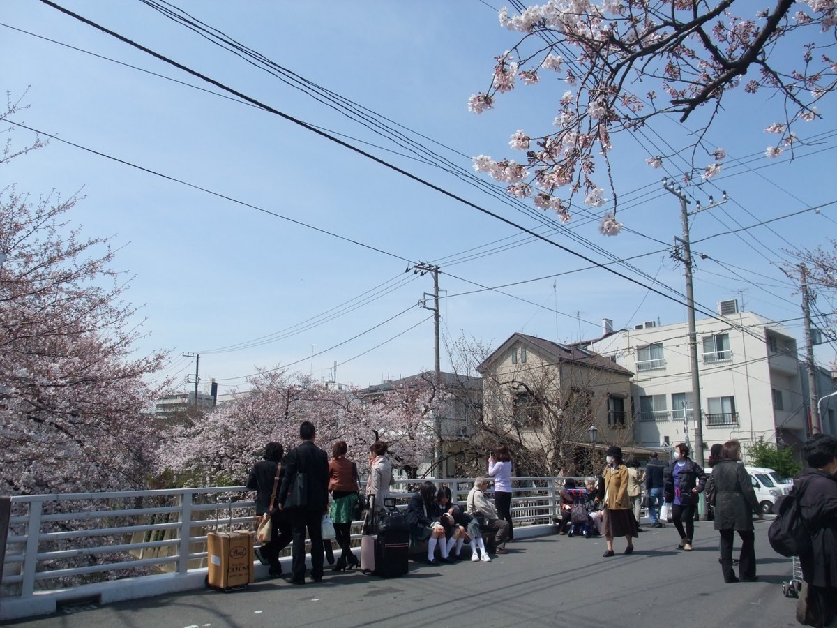 中板橋付近の石神井川・板橋区（2011年4月）