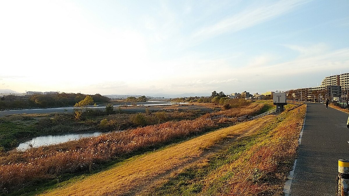 多摩川の土手・狛江市元和泉付近（2024年12月）