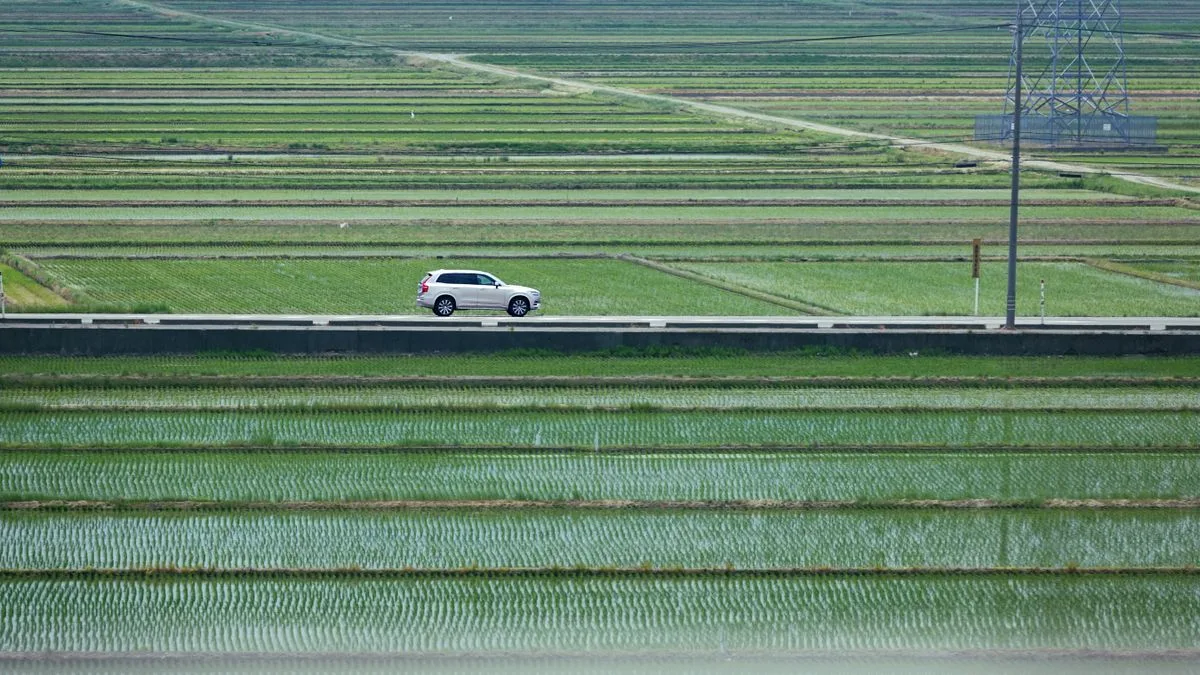 田んぼのあいだを通る舗装路を、車が1台走っている