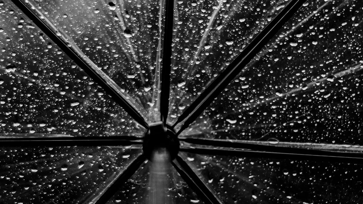 雨粒がついた傘を下から見上げた写真