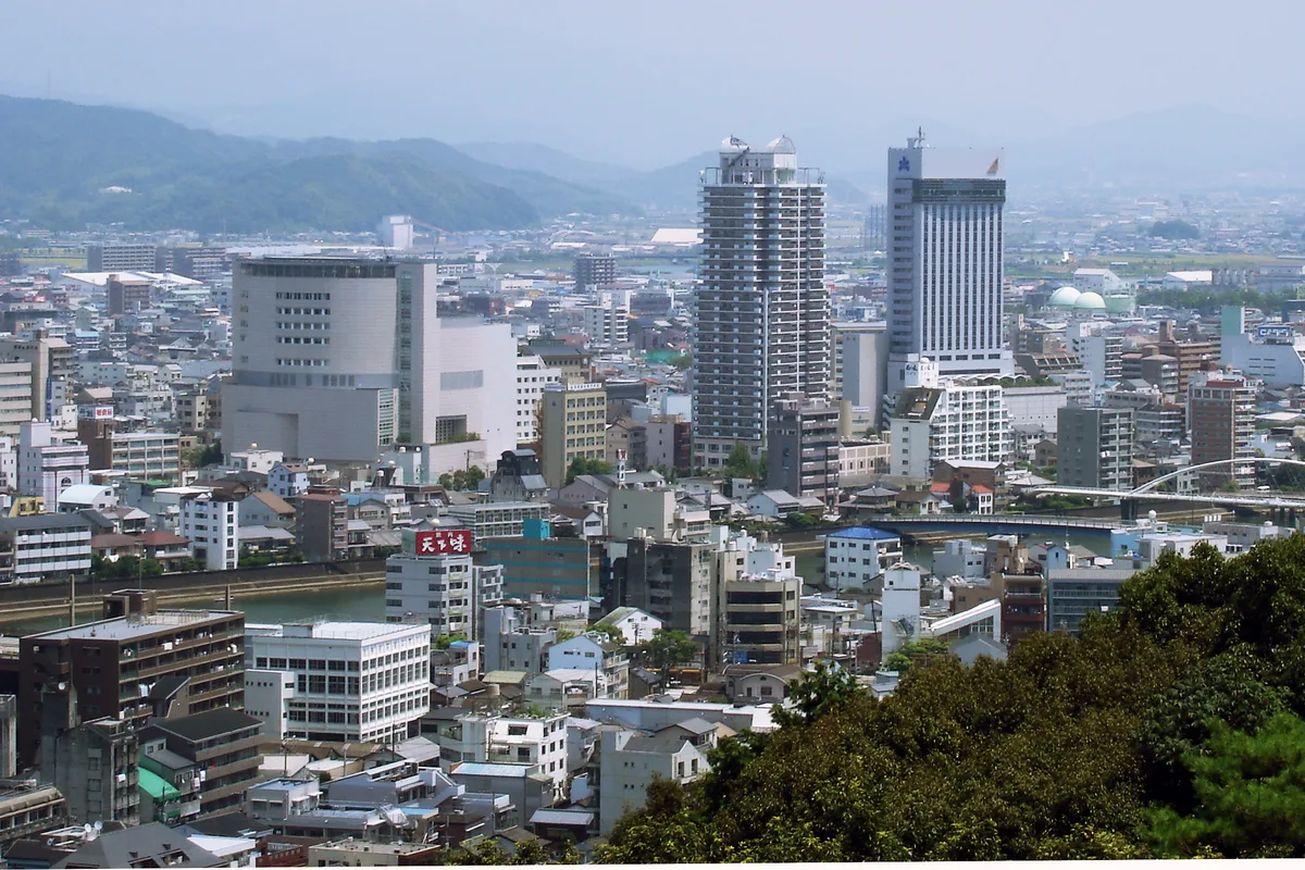 高台から見下ろした高知市街。低い建物が平地いっぱいに広がり、その先に山並みが連なる