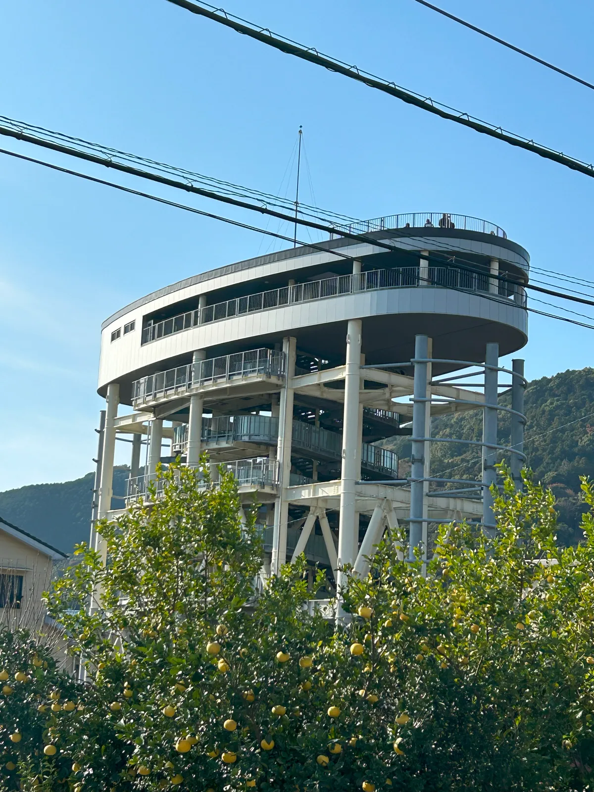 黒潮町佐賀地区に建つ津波避難タワー。鉄骨の階段が上まで続き、上部に避難用の床がある