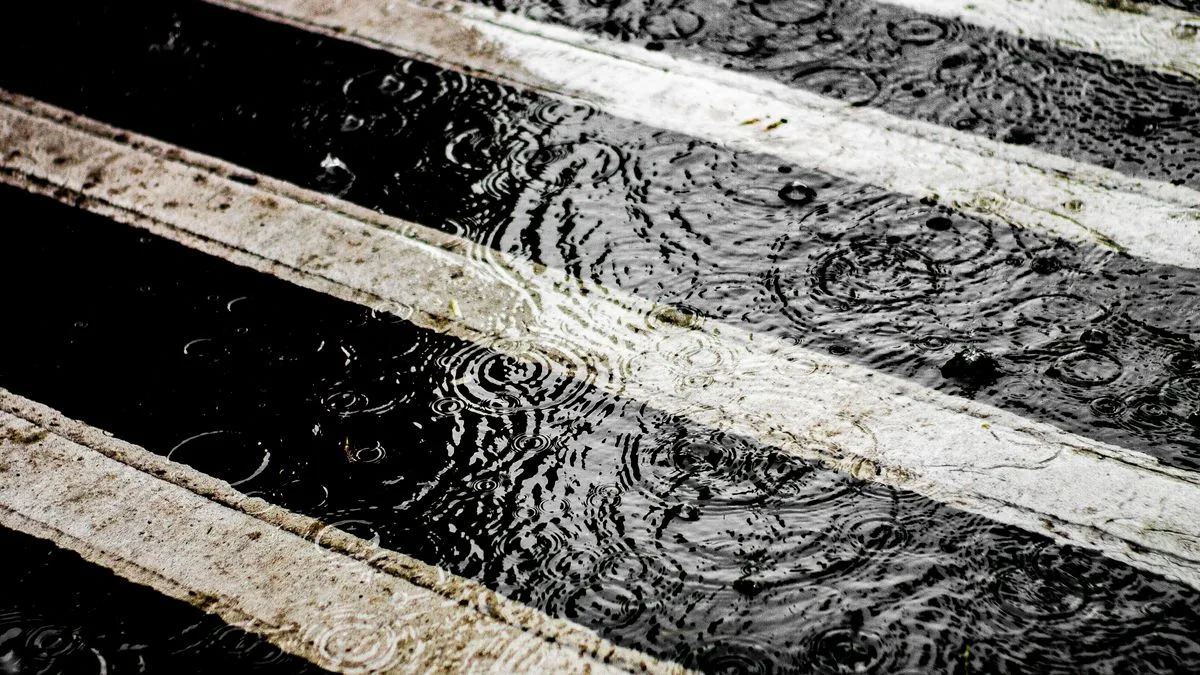 横断歩道の白線に雨がたまり、水面に波紋が広がっている