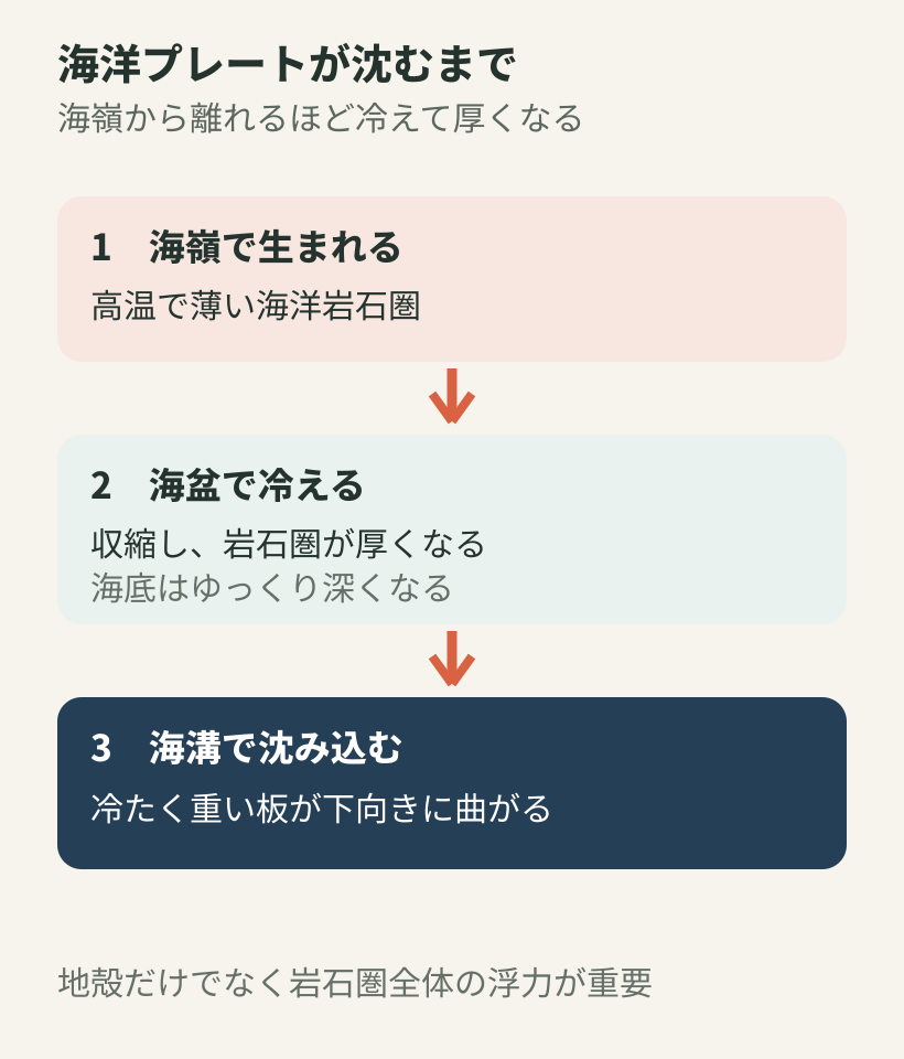 海洋プレートが海嶺で生まれ、冷えて厚くなり、海溝で沈み込むまでの流れ