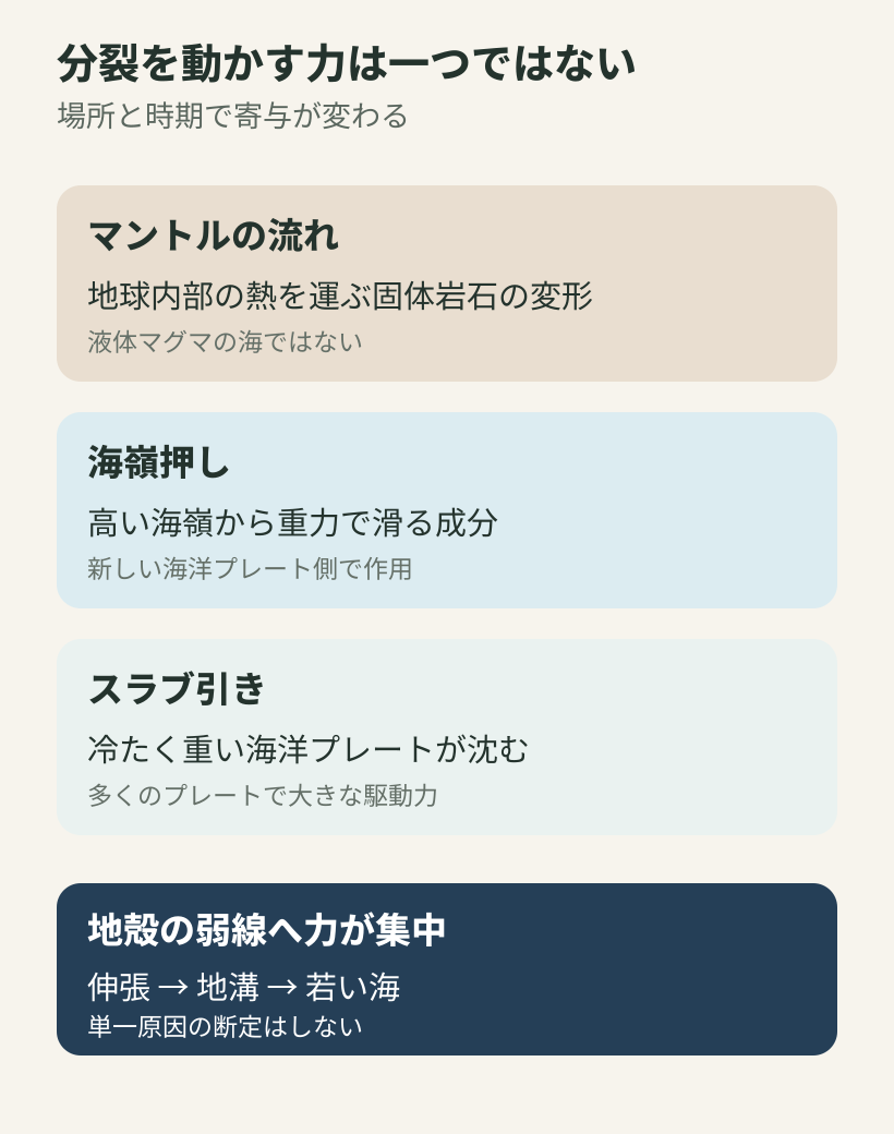 パンゲア分裂に関わるプレート運動の複数の力と地殻の弱線