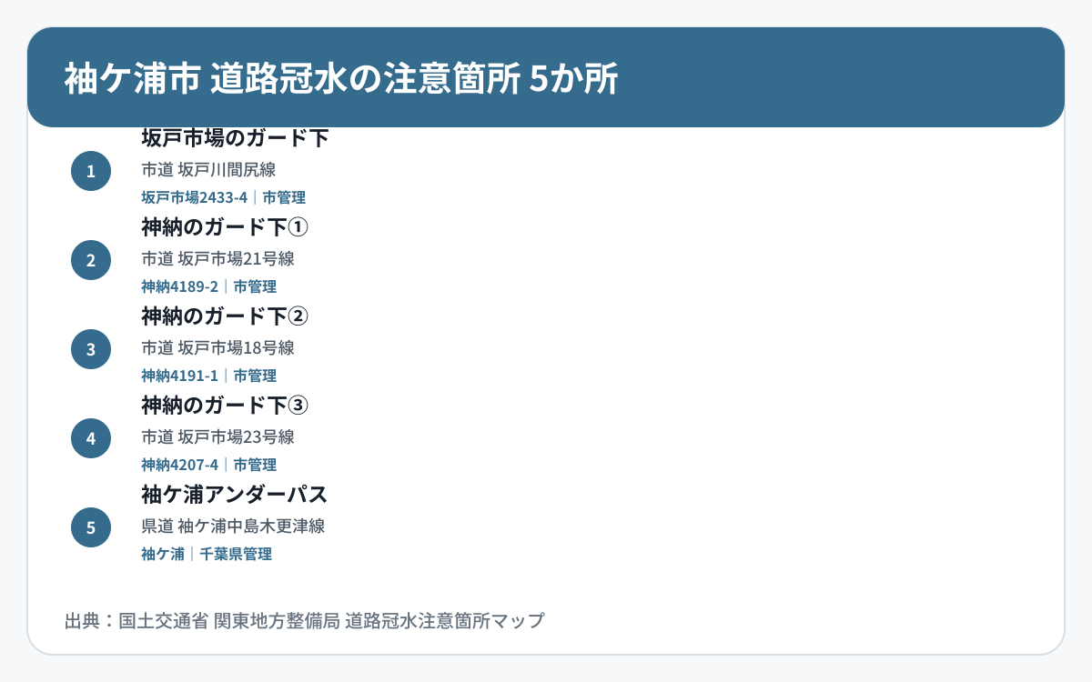 袖ケ浦市の道路冠水注意箇所5か所を道路区分と管理者で整理した図