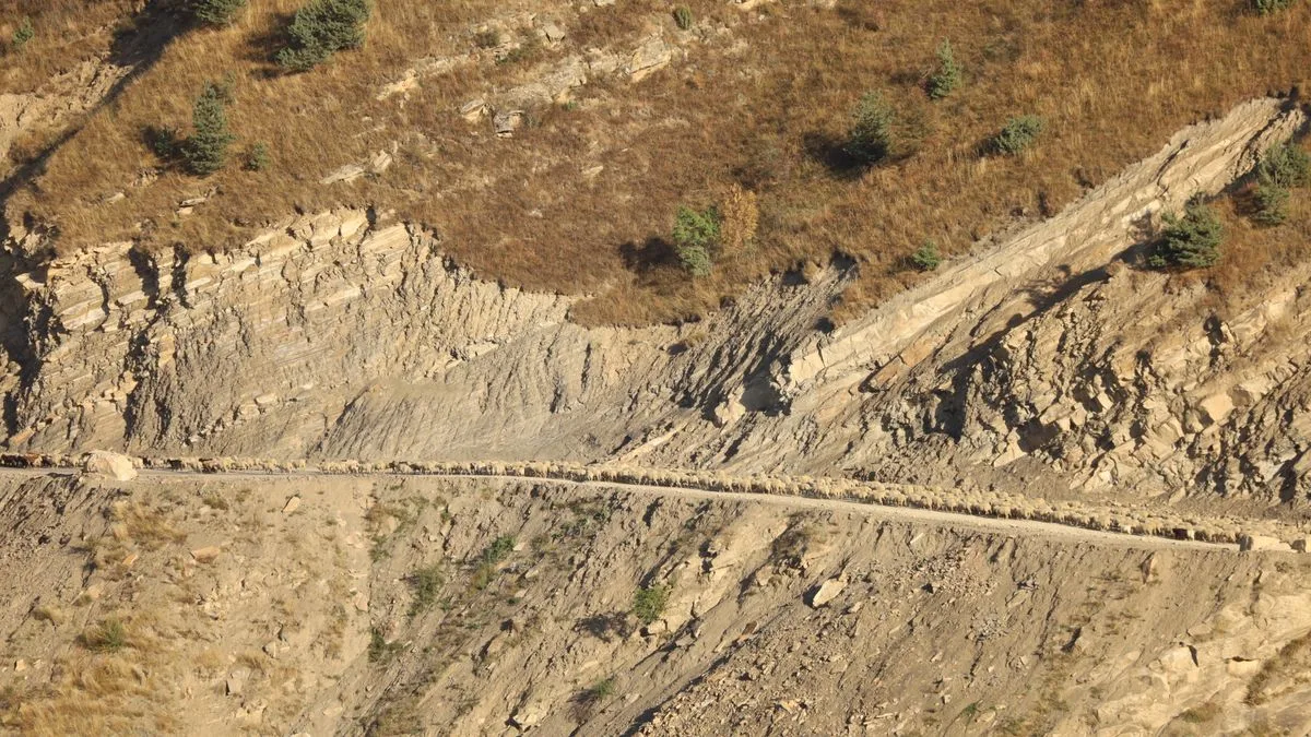 上空から見た山の斜面。土がむき出しになって崩れた跡が筋になっている
