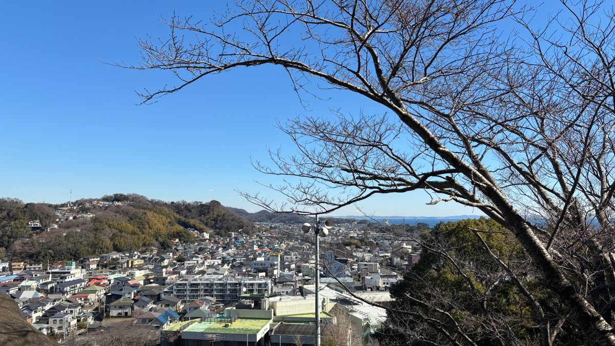 冬の晴れた日に高台から見下ろした、斜面に家が密集する住宅地と遠くの海