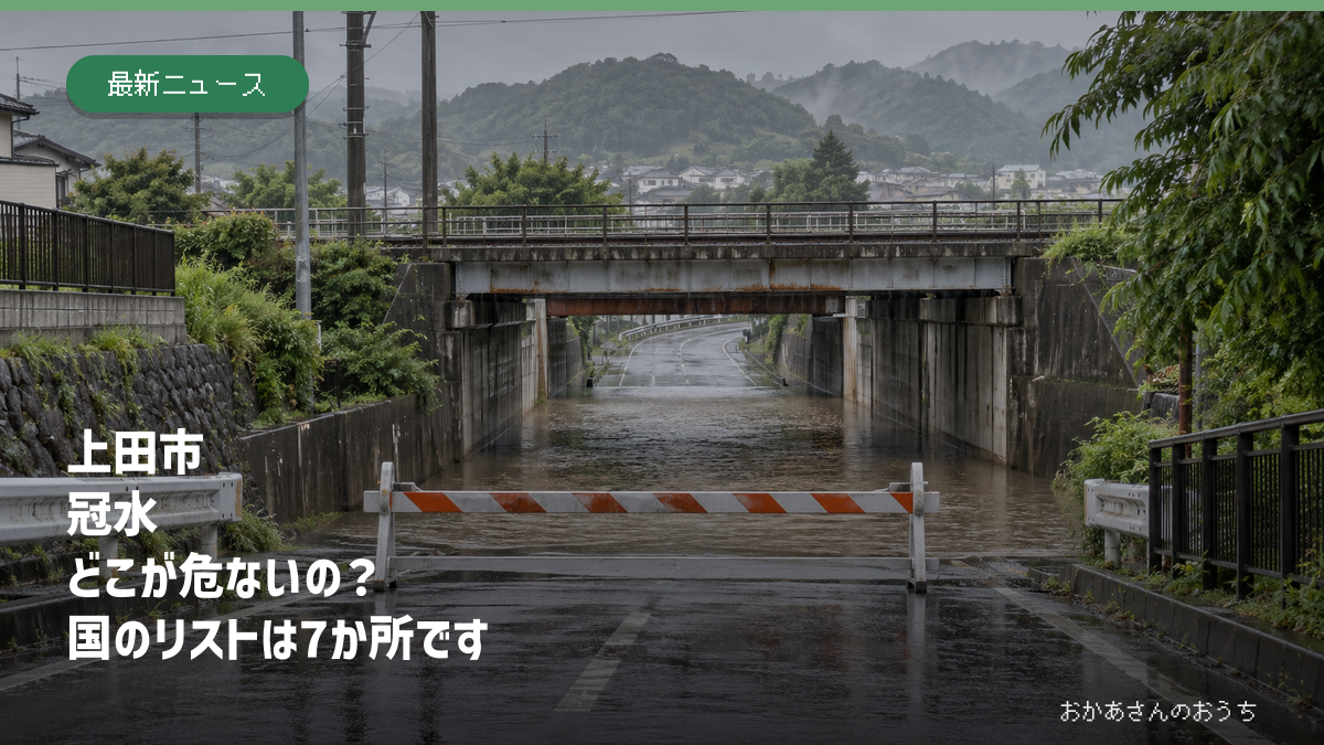 上田市 冠水　どこが危ないの？　国のリストは7か所です