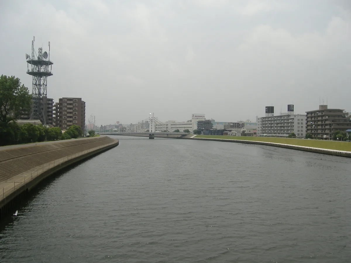 新鶴見橋から見た鶴見川。コンクリートの護岸と広い川面
