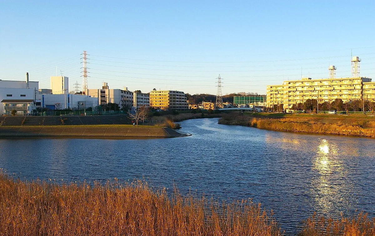 鶴見区で矢上川が鶴見川に合流する地点。夕方の光を受けた川面と住宅