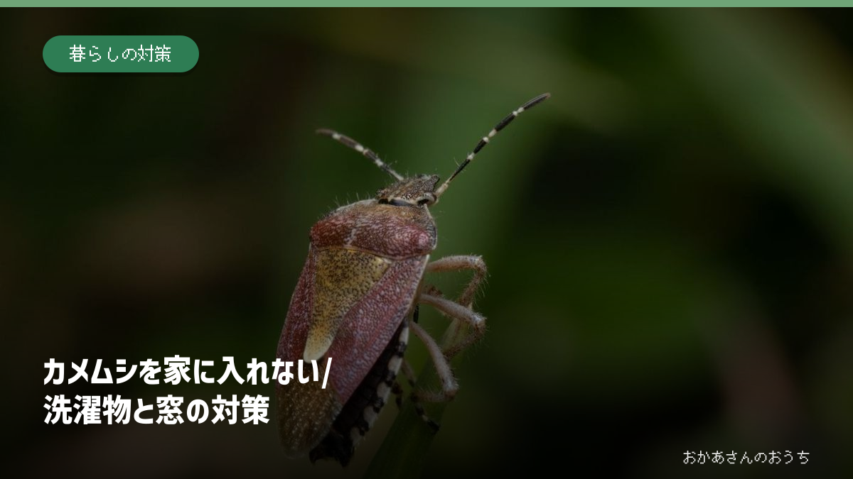 葉に止まったカメムシのイメージ写真と、家への侵入・洗濯物対策の見出し。特定地域の発生状況を撮影した写真ではありません。