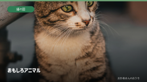 おもしろアニマル・猫の回のイメージ写真