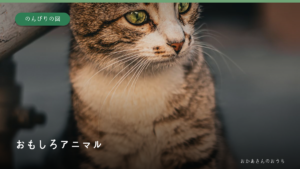 おもしろアニマル・のんびりの回の猫のイメージ写真