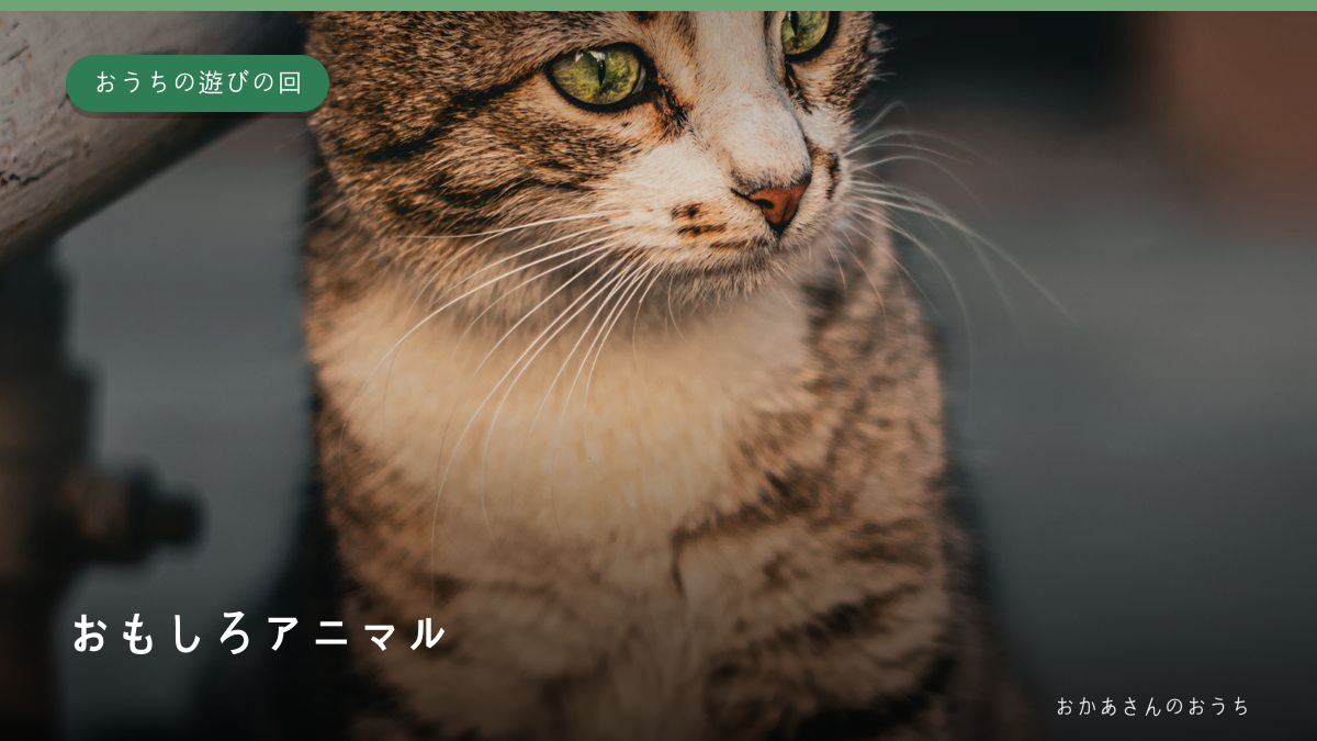 おもしろアニマル・おうちの遊びの回のイメージ写真