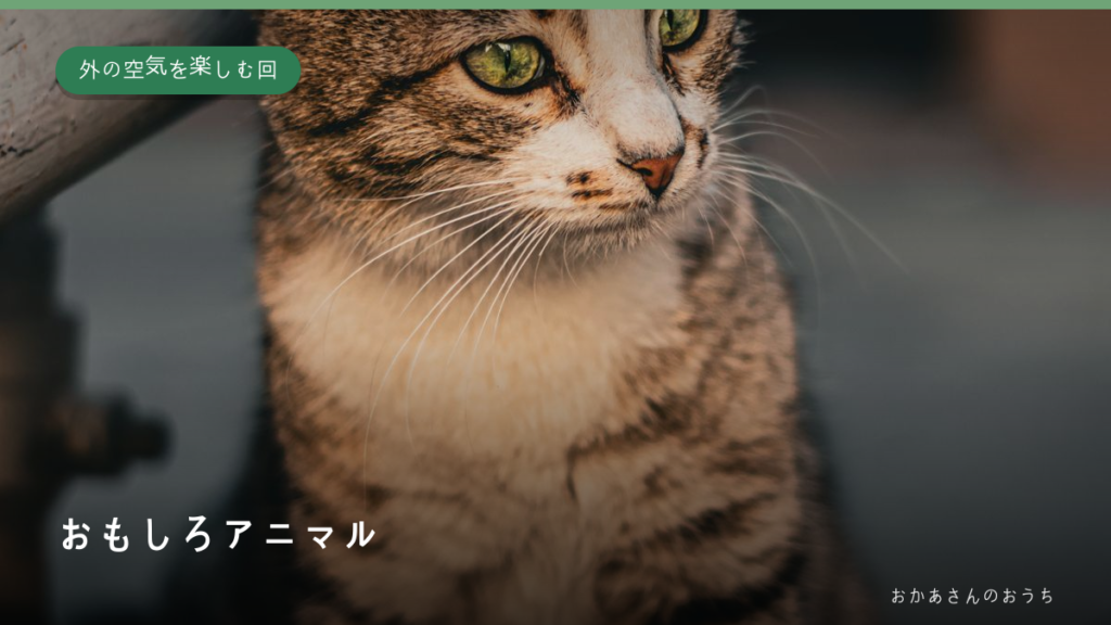 おもしろアニマル・外の空気を楽しむ回のイメージ写真
