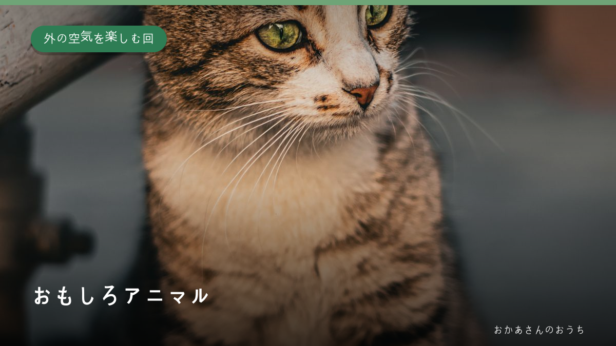 おもしろアニマル・外の空気を楽しむ回のイメージ写真