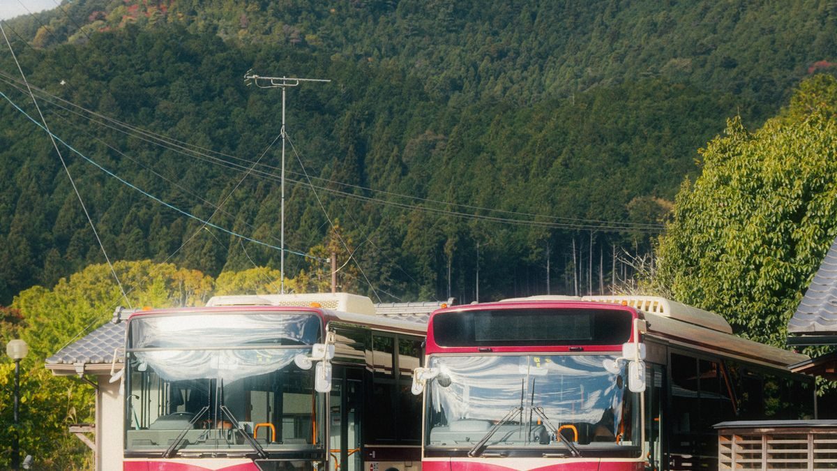 山の緑を背にした停留所に、路線バスが2台並んで止まっている